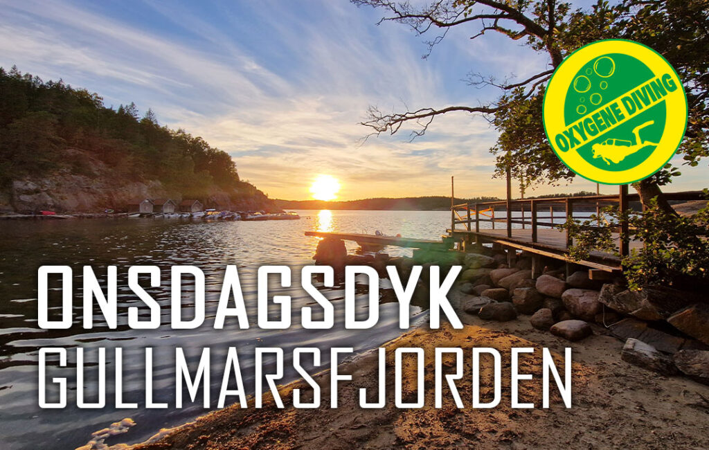 Onsdagsdyk Gullmarsfjorden